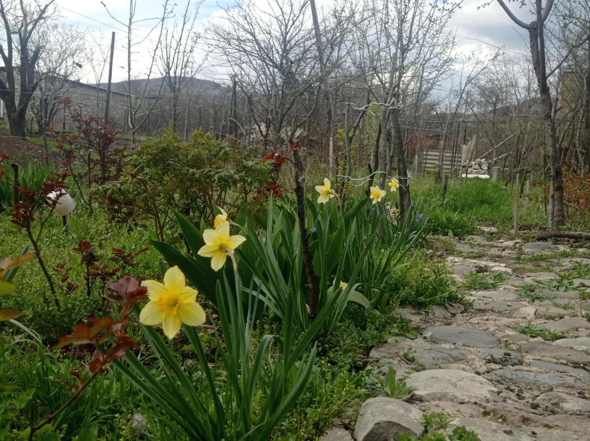 Dusheti Rose Διαμέρισμα Dushet'i Εξωτερικό φωτογραφία